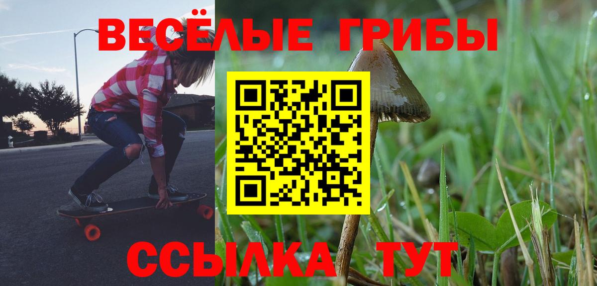 Псилоцибиновые грибы прущие грибы  Вход с VPN  Воркута 